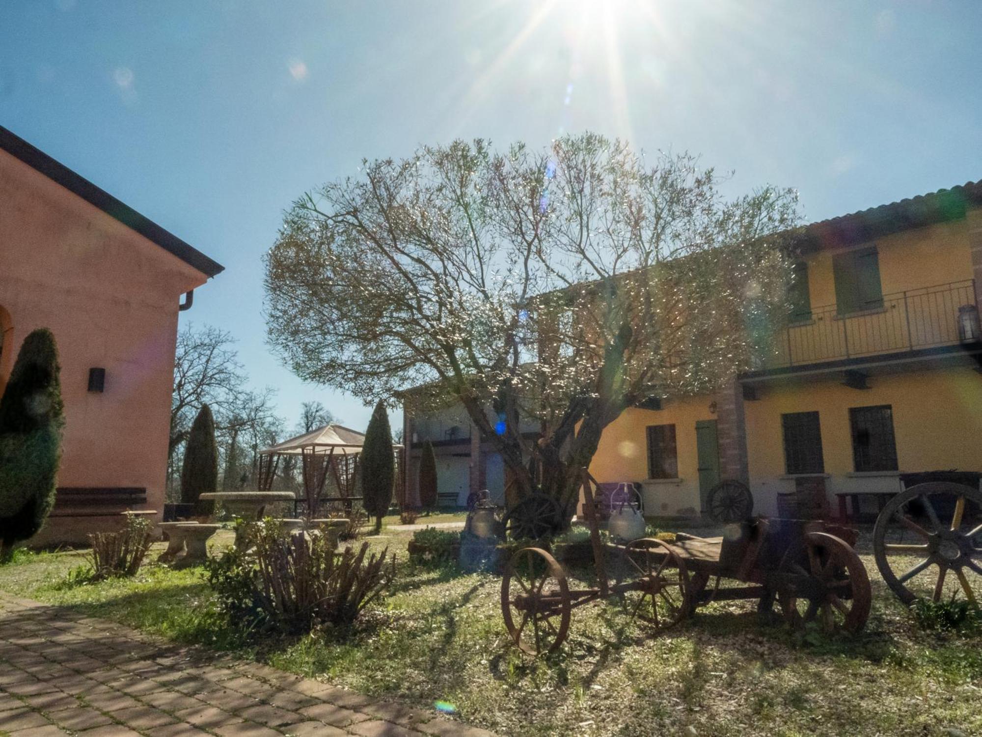 Agriturismo Borgo Del Mincio ヴォルタ・マントヴァーナ エクステリア 写真